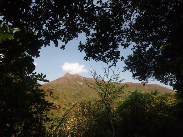 sharp-peak-framed-by-foliage2012Mar17_0317800px