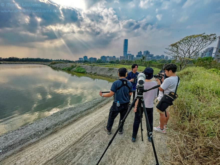 Deep Bay including Mai Po in Hong Kong: Wetland Under Siege with Typically Timid Conservation