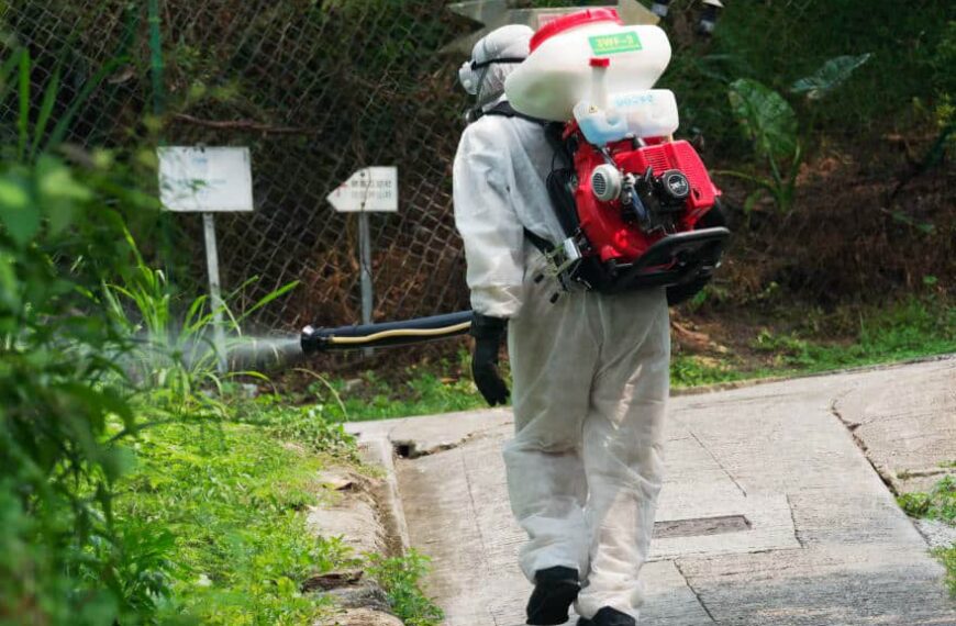 Excessive Mosquito Control Devastating Cheung Chau Wildlife